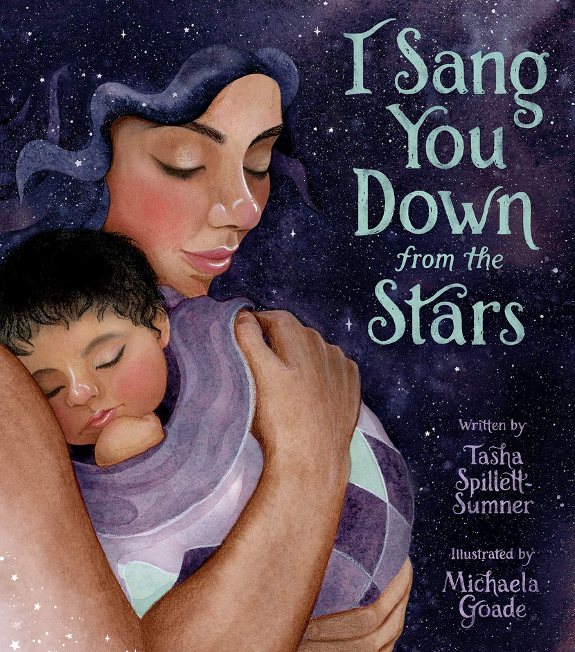 I Sang You Down from the Stars book cover